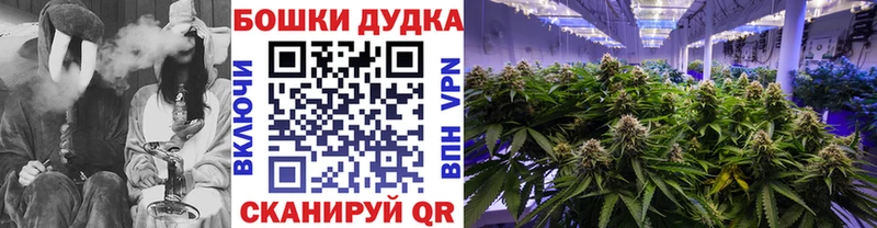 Бошки Шишки семена Арамиль